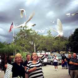 Dove release for 6 month old baby boy