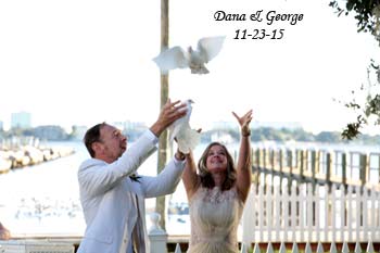 sarasota dove release